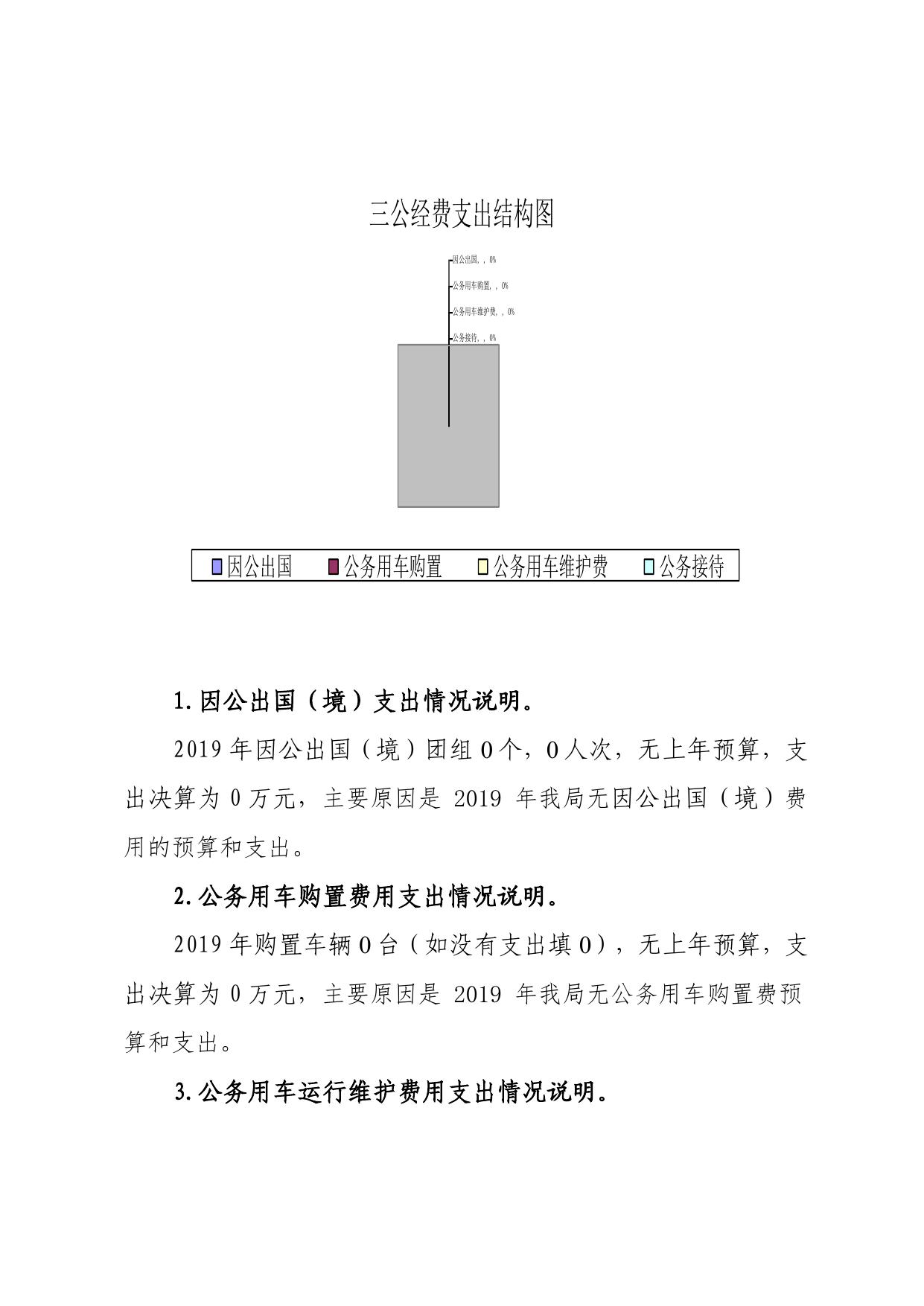 延安市医疗保障局2019年三公经费.pdf