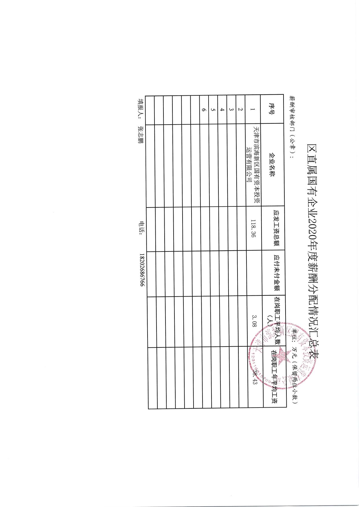 天津市滨海新区国有资本投资运营有限公司.pdf