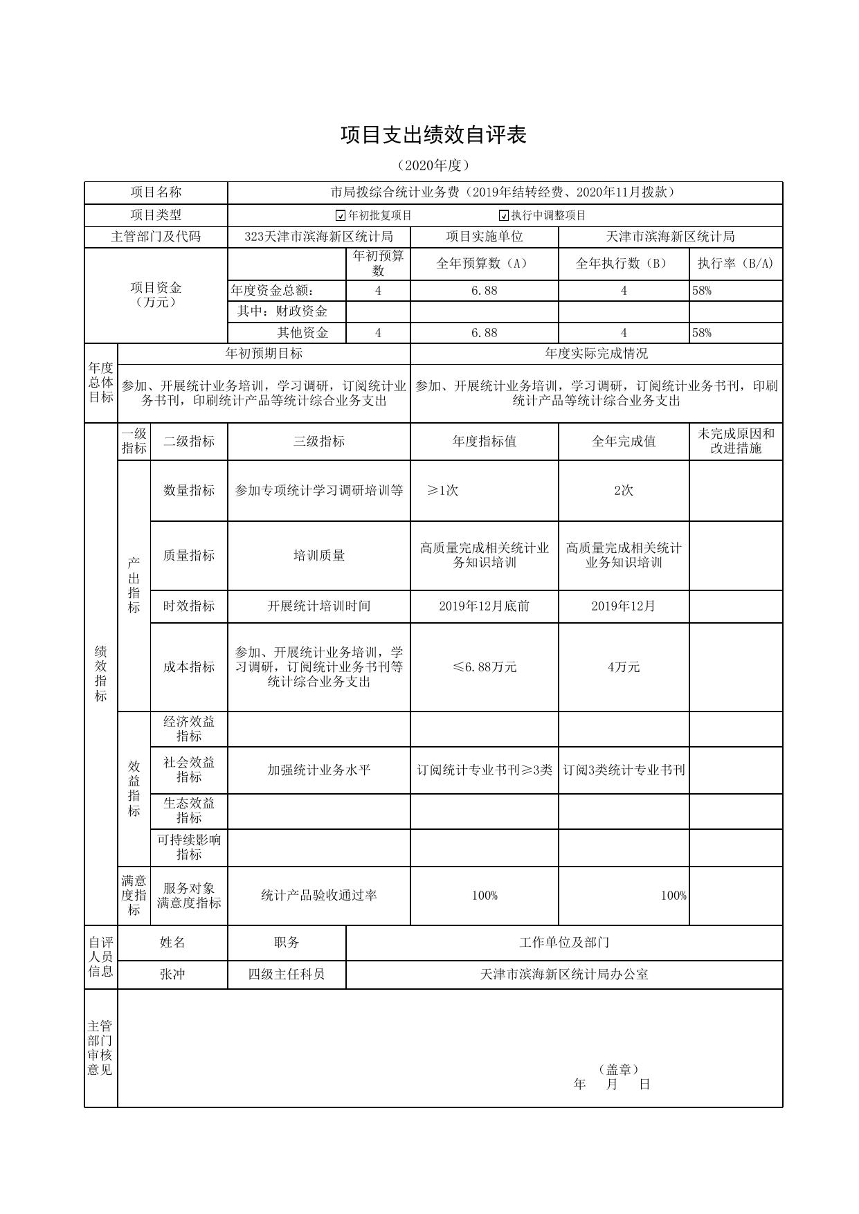 2020年统计局项目绩效自评表.xls