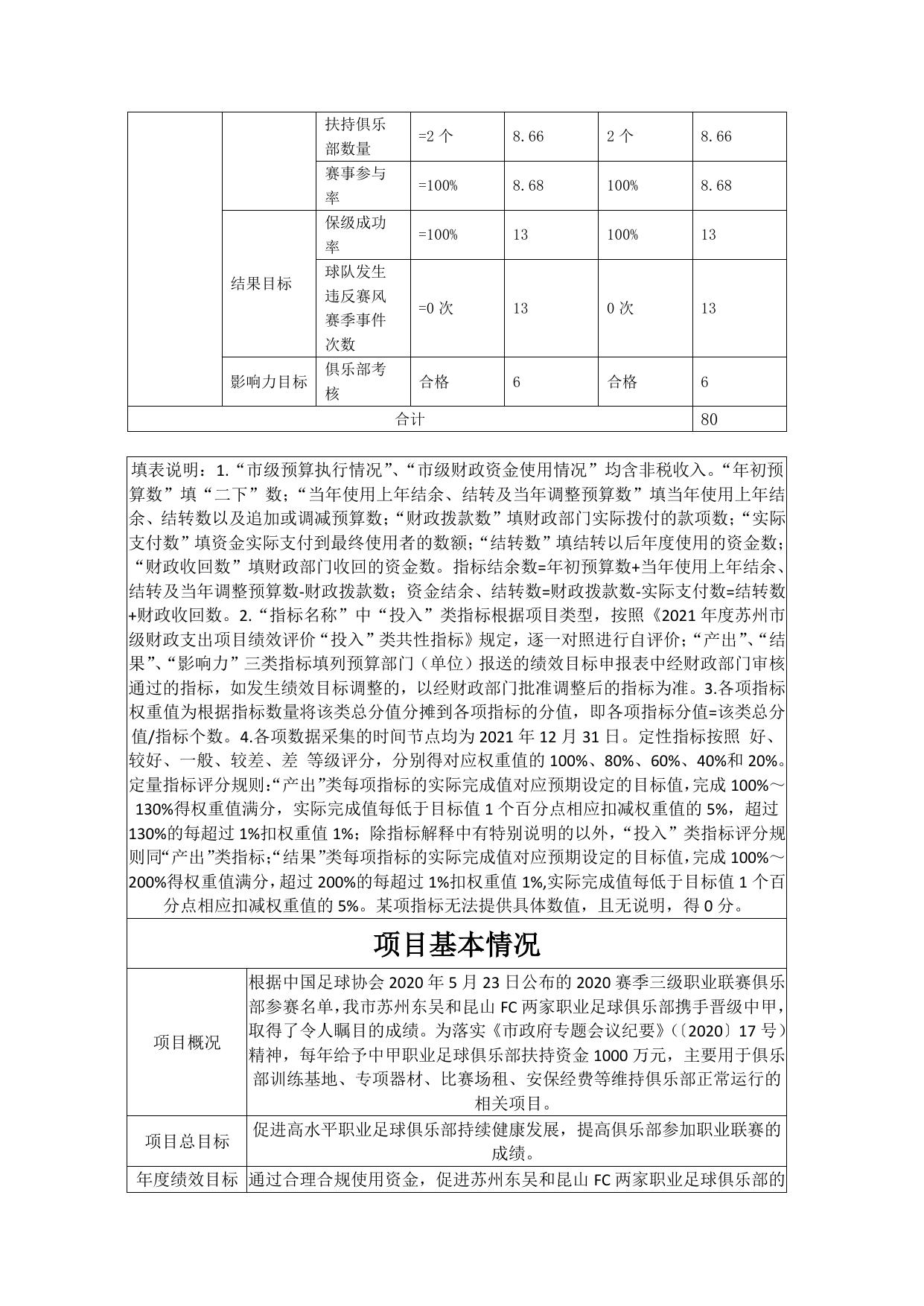 职业足球俱乐部扶持资金自评价报告.pdf