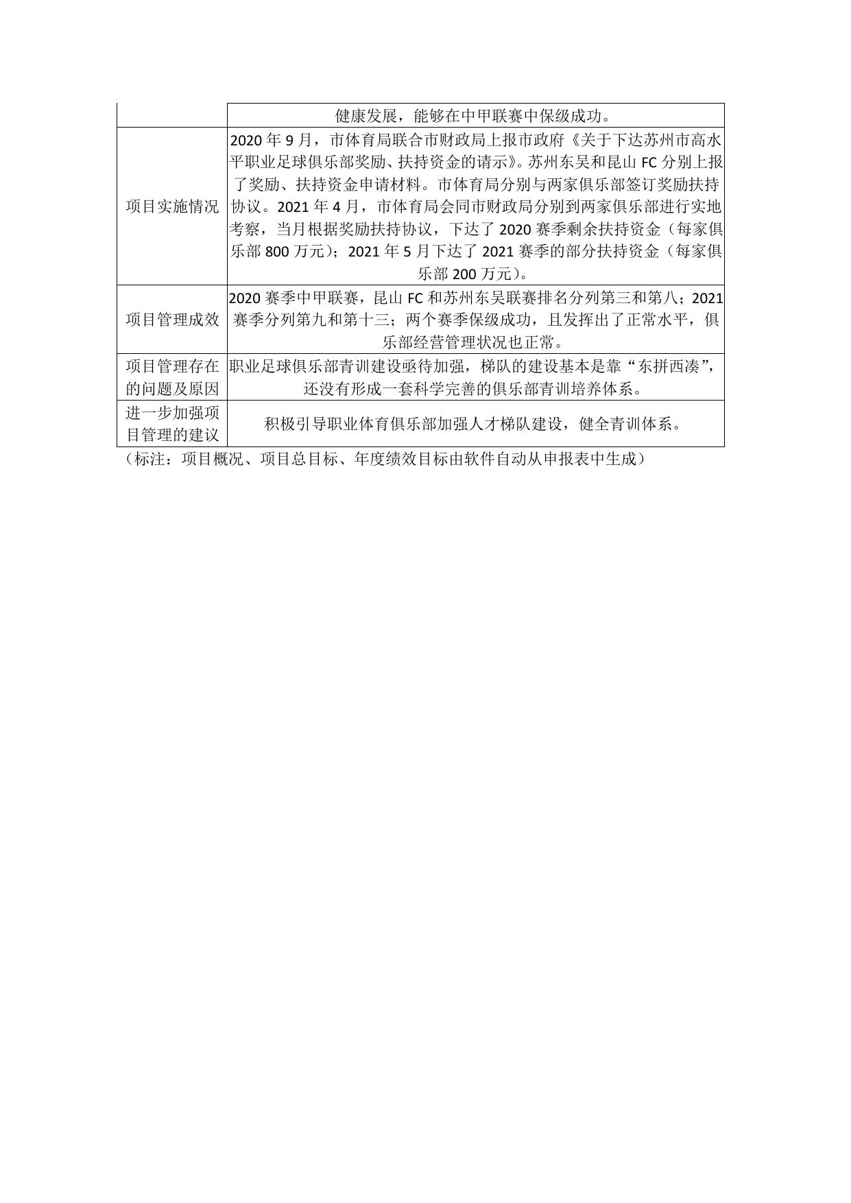 职业足球俱乐部扶持资金自评价报告.pdf