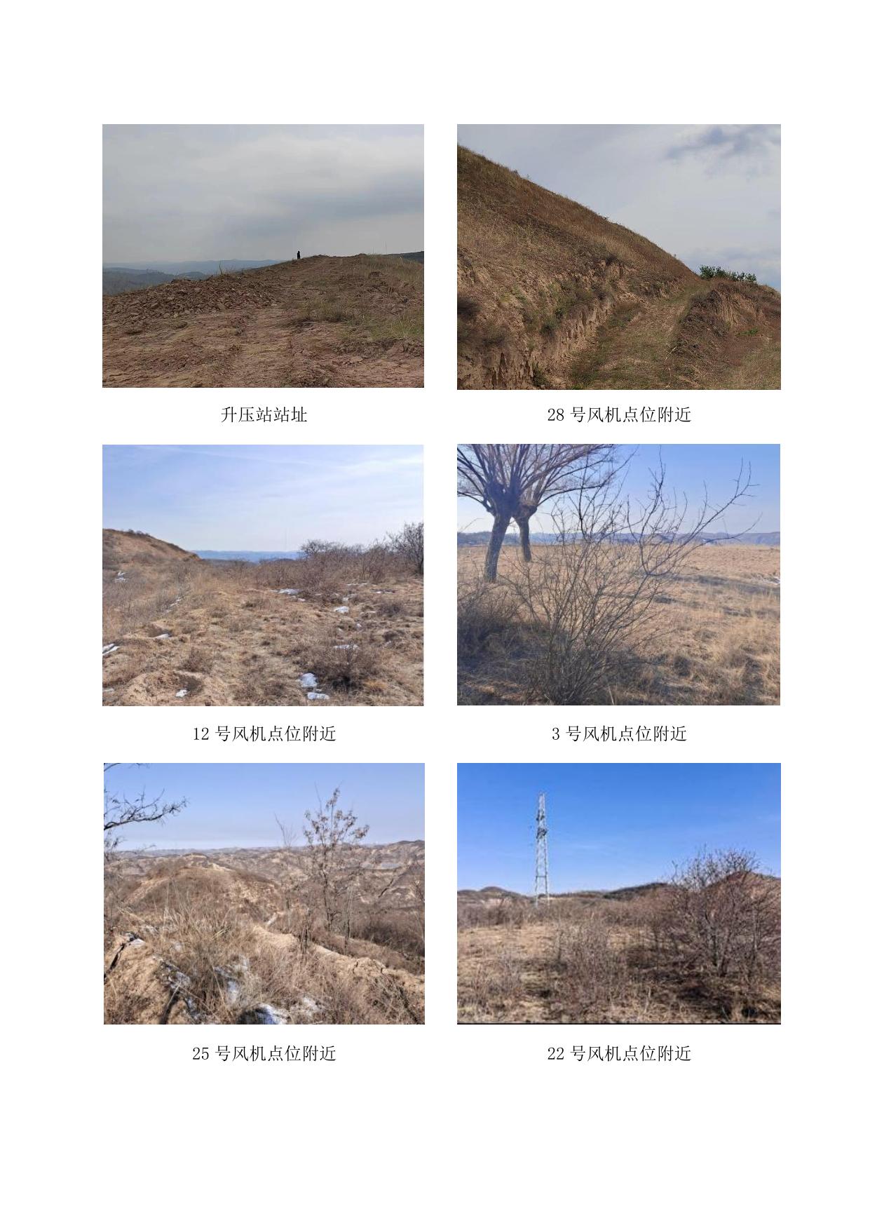 贵州金元股份有限公司安塞坪桥100MW一期风力发电项目.pdf
