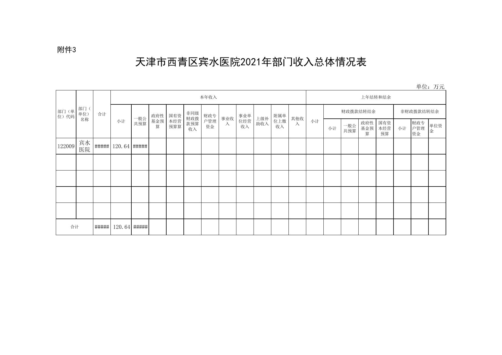 天津市西青区宾水医院2021年预算公开表.xls