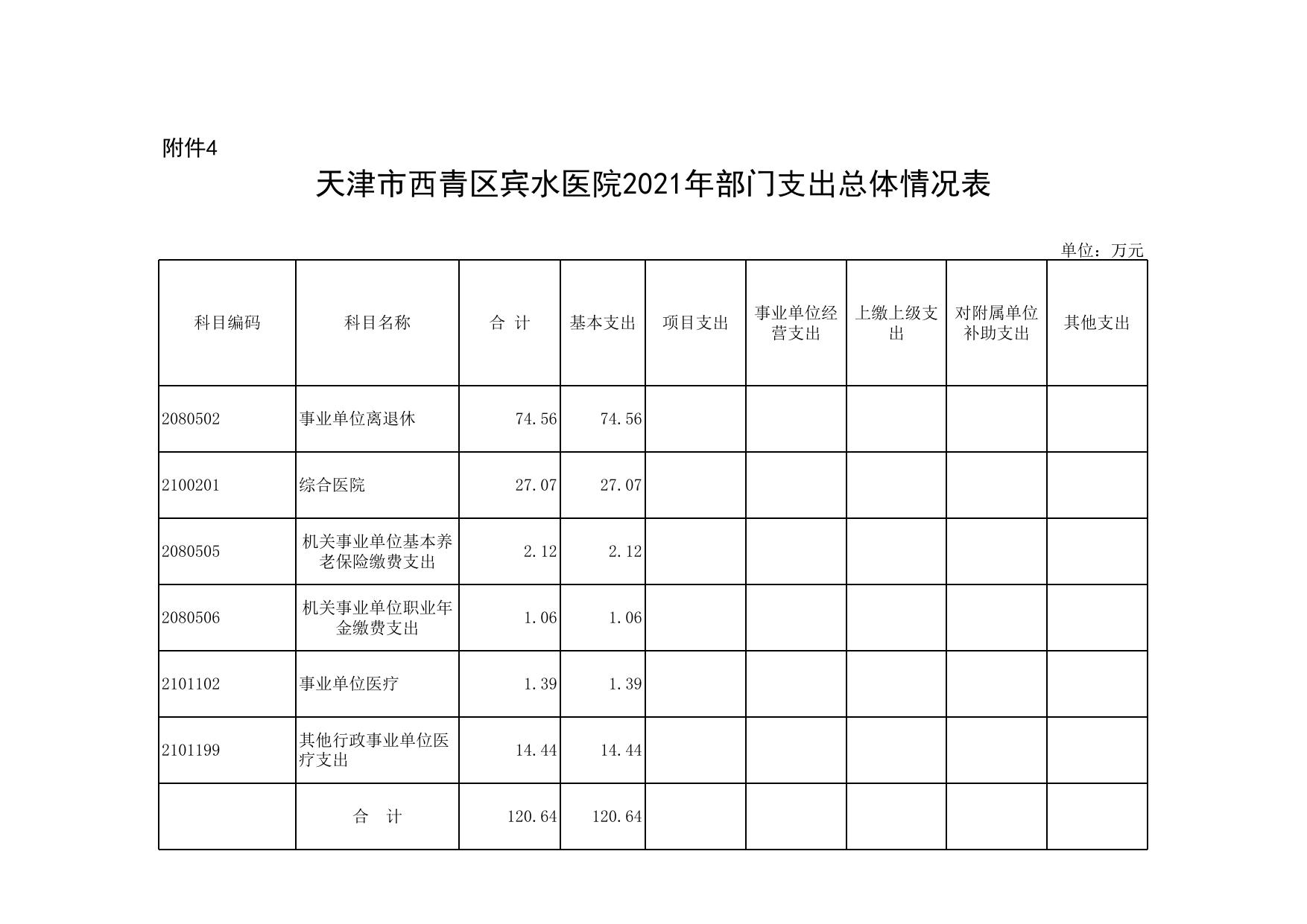 天津市西青区宾水医院2021年预算公开表.xls
