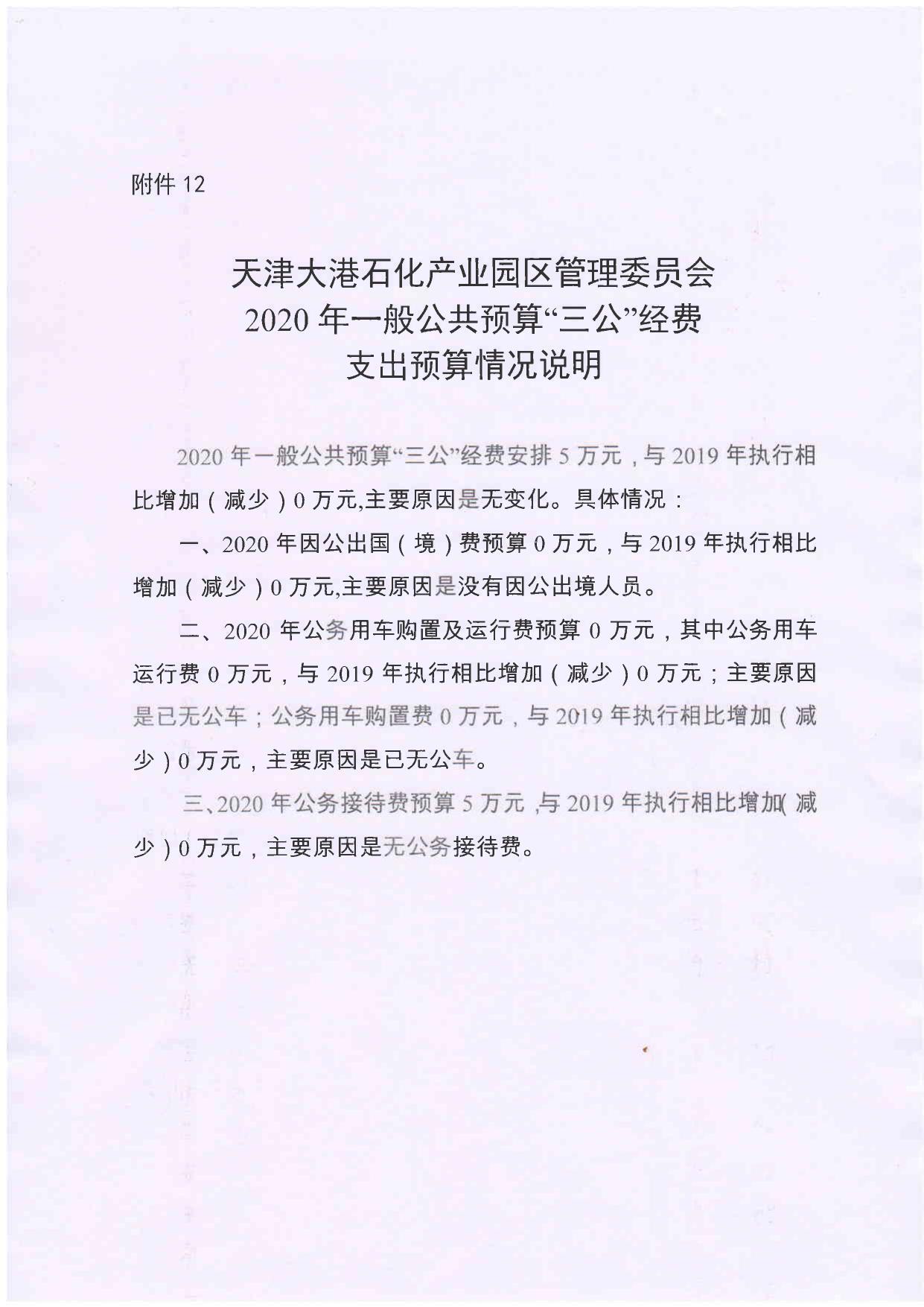 2020大港产业园区预算公开.PDF