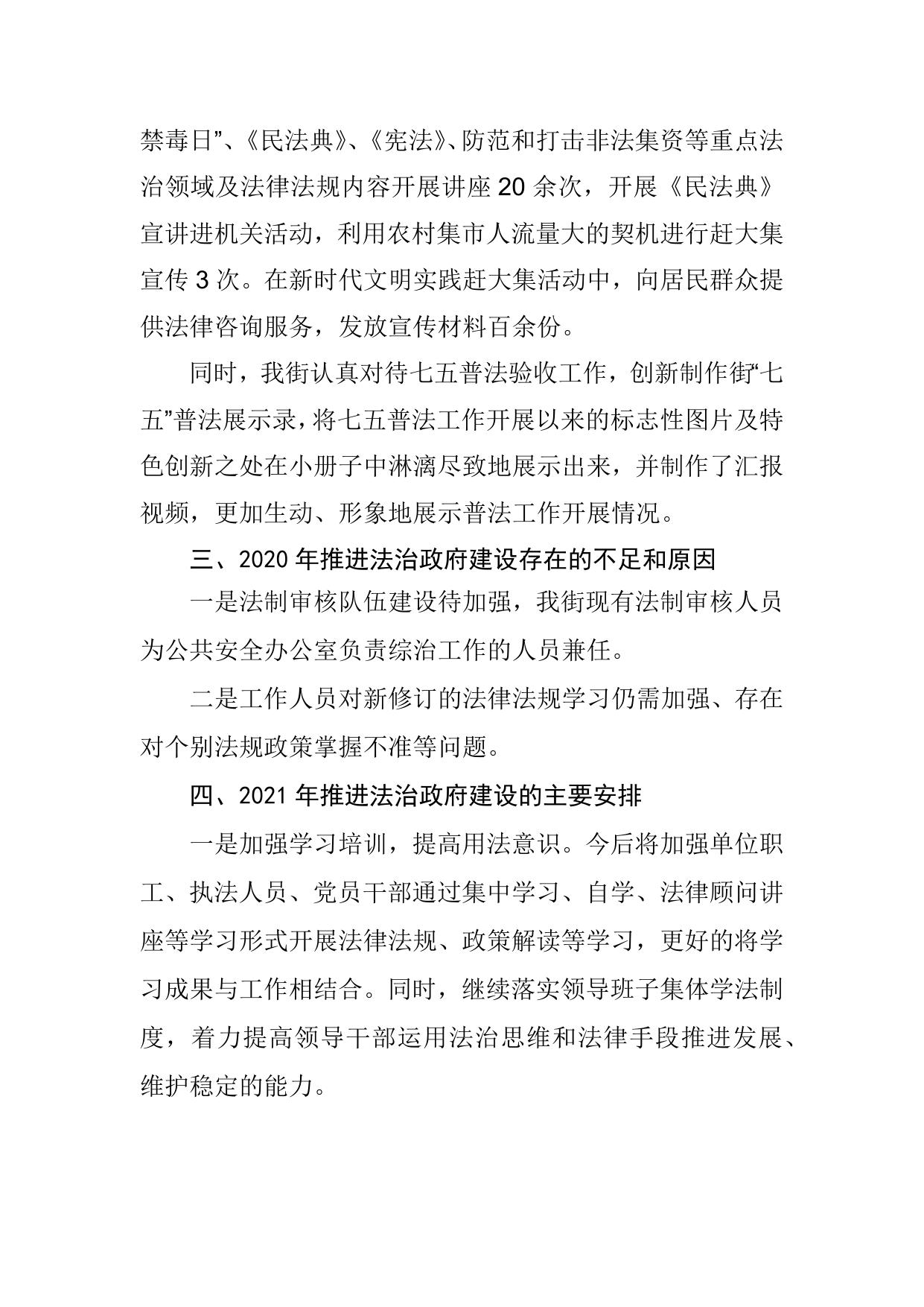 海滨街2020年法治政府建设情况.docx