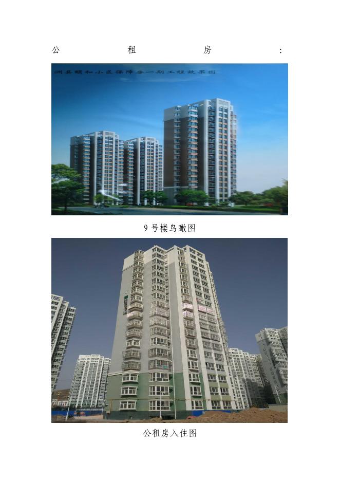子洲县历年来保障房项目文字附图片.PDF.pdf