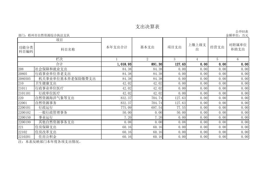 梧州市自然资源综合执法支队2020年度单位决算报表.xls