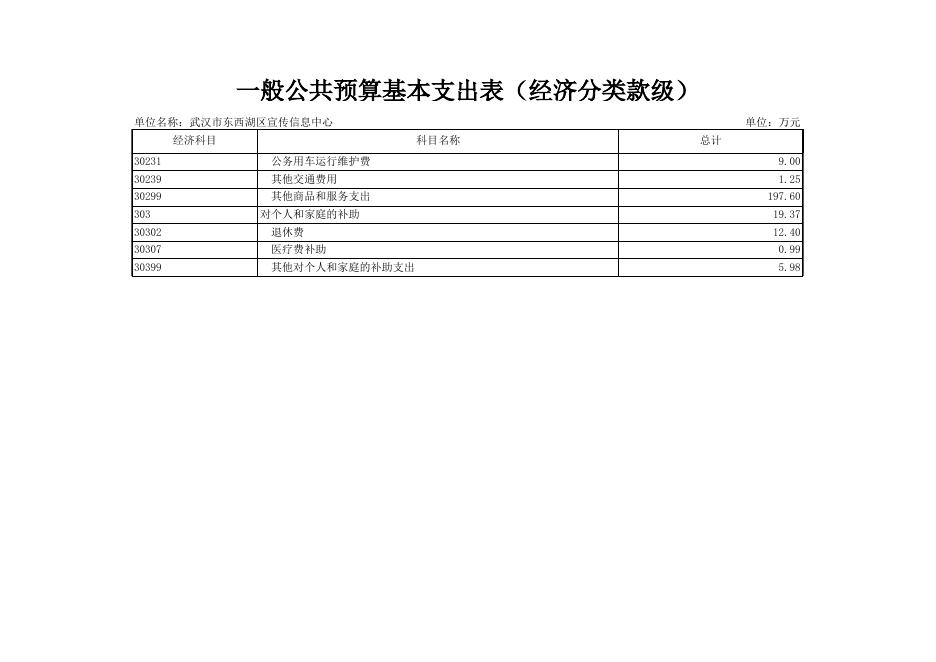 一般公共预算基本支出表（经济分类款级）.xls