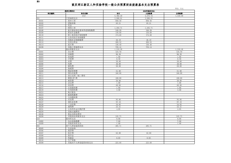 重庆两江新区人和实验学校2020年预算情况公开表.xlsx