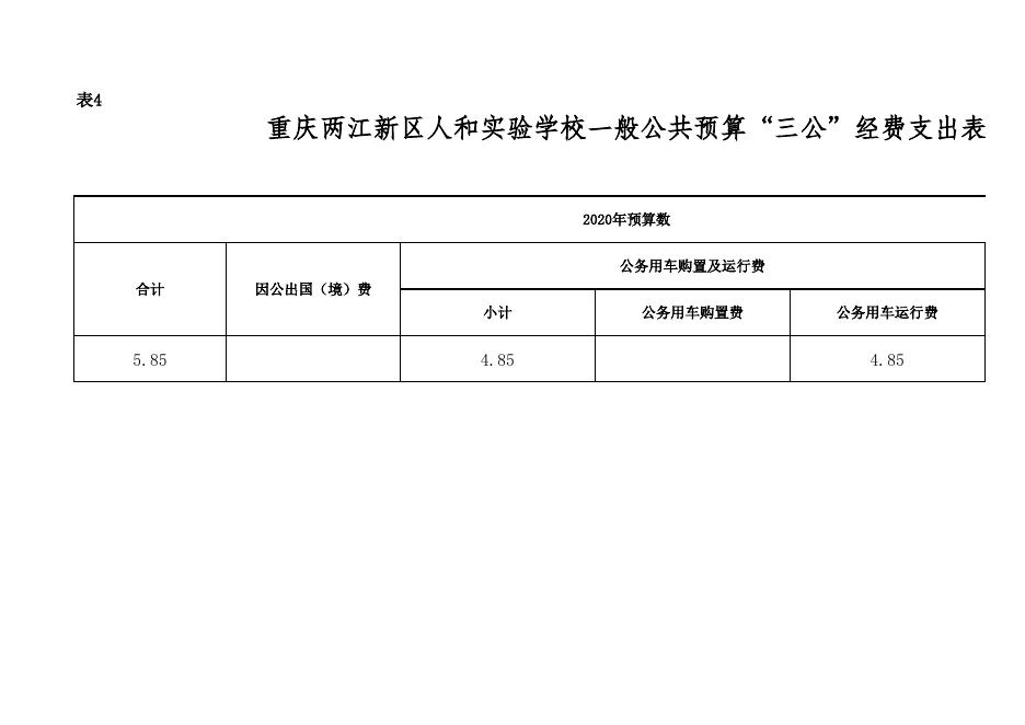 重庆两江新区人和实验学校2020年预算情况公开表.xlsx