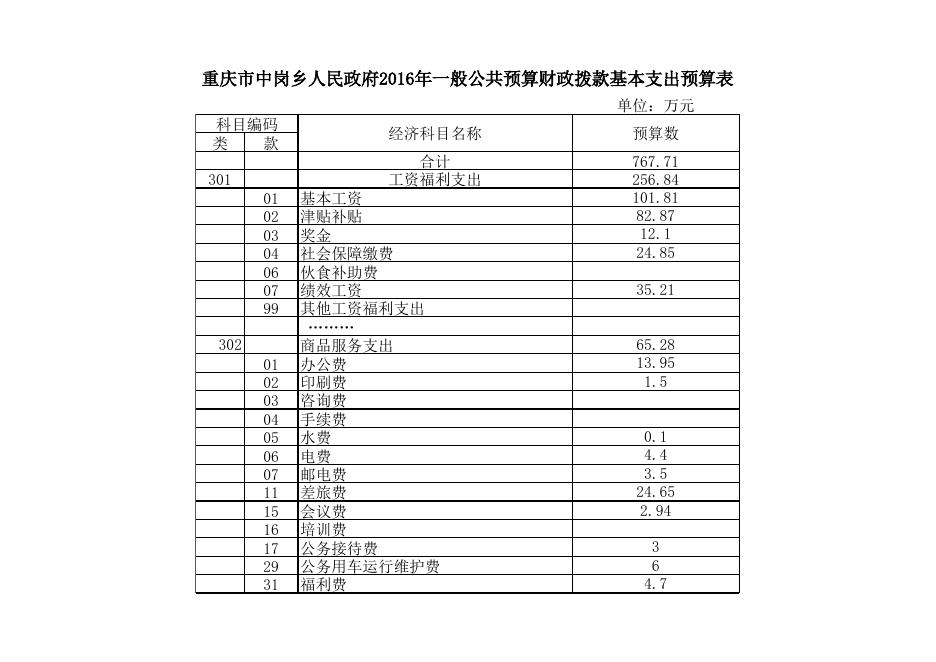巫溪县中岗乡人民政府2016年预算公开表.xls