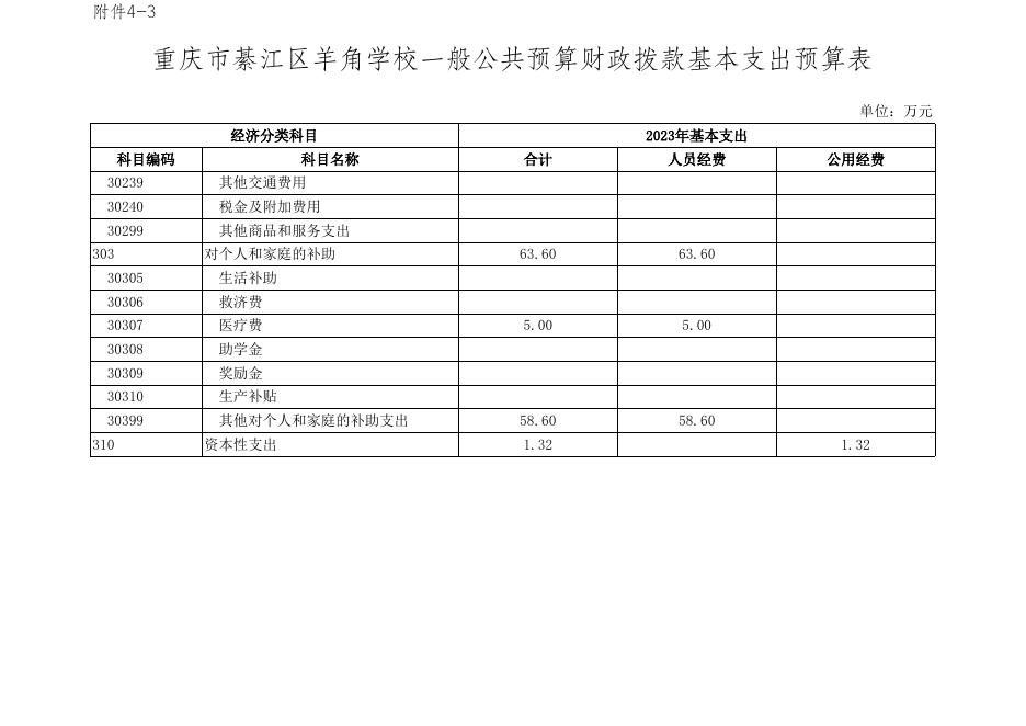 204154-重庆市綦江区羊角学校.xls