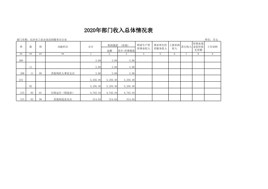 2020年部门预算批复表（财政）_(516)长沙市工业企业改制服务办公室.xlsx