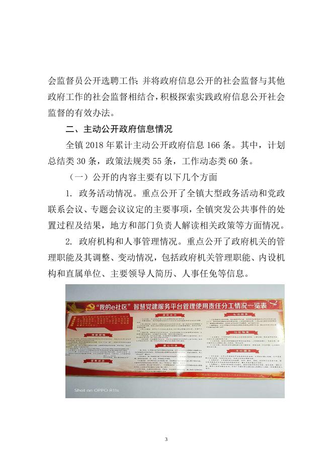 靖宇镇2018年政府信息公开工作年度报告.doc