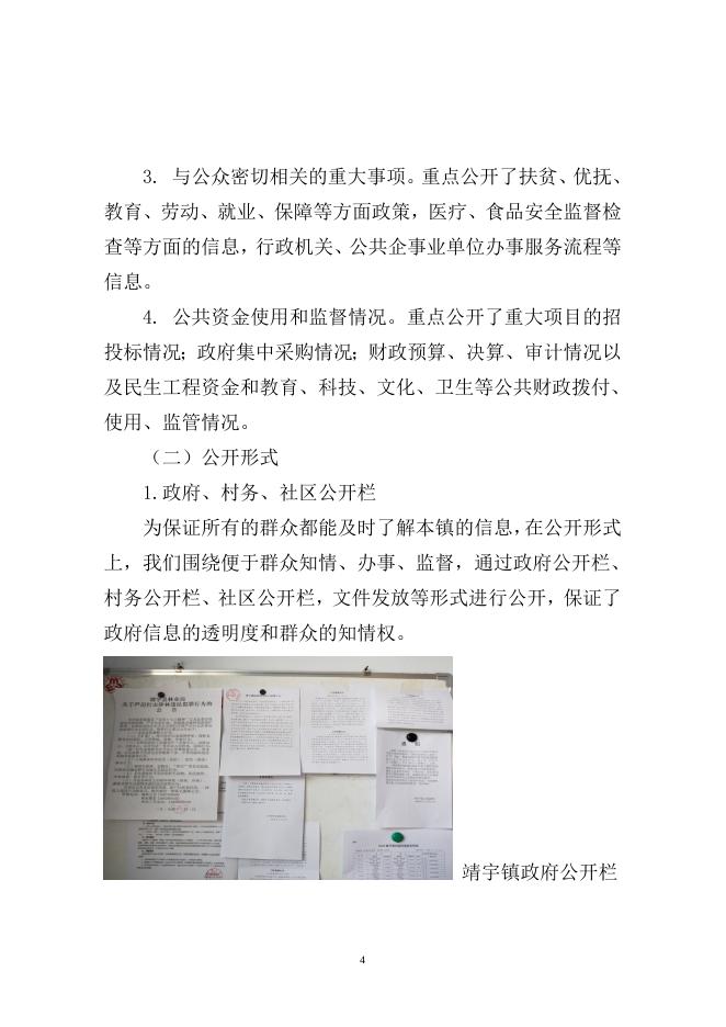 靖宇镇2018年政府信息公开工作年度报告.doc