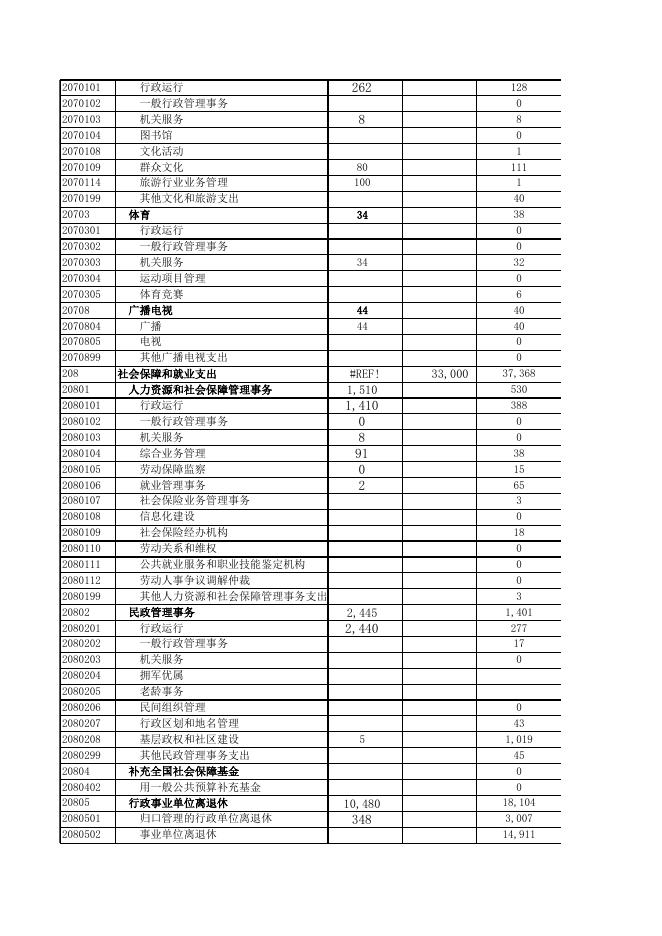 2019年度一般公共预算支出决算功能分类录入表.xls