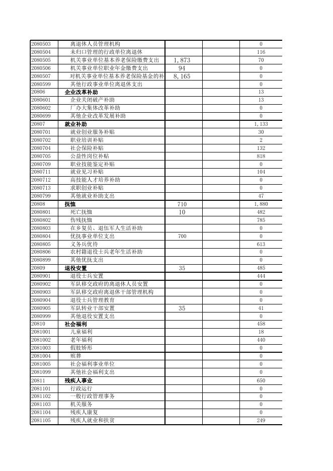 2019年度一般公共预算支出决算功能分类录入表.xls