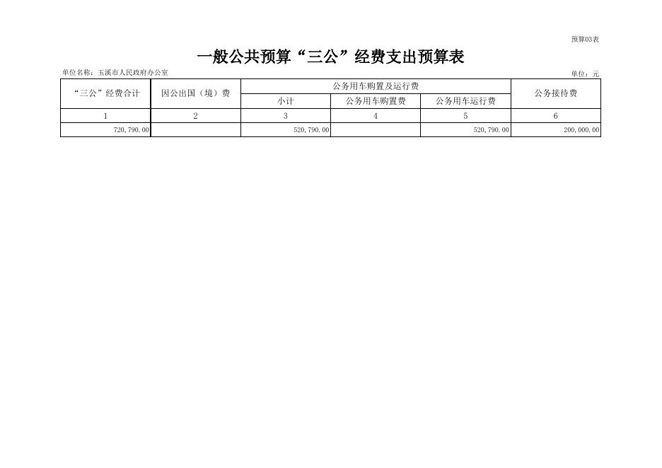 玉溪市人民政府办公室2023年部门预算表20230201035801604.xlsx
