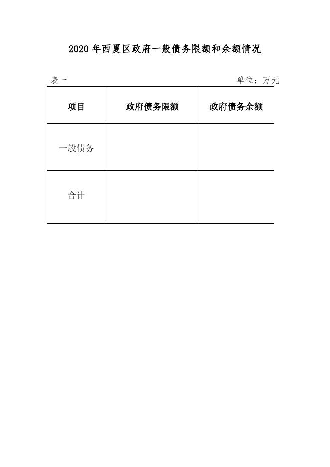 2020年政府债务限额和余额情况说明.pdf