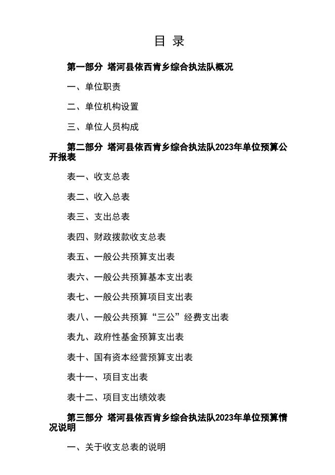 2023年塔河县依西肯乡综合执法队部门预算.pdf