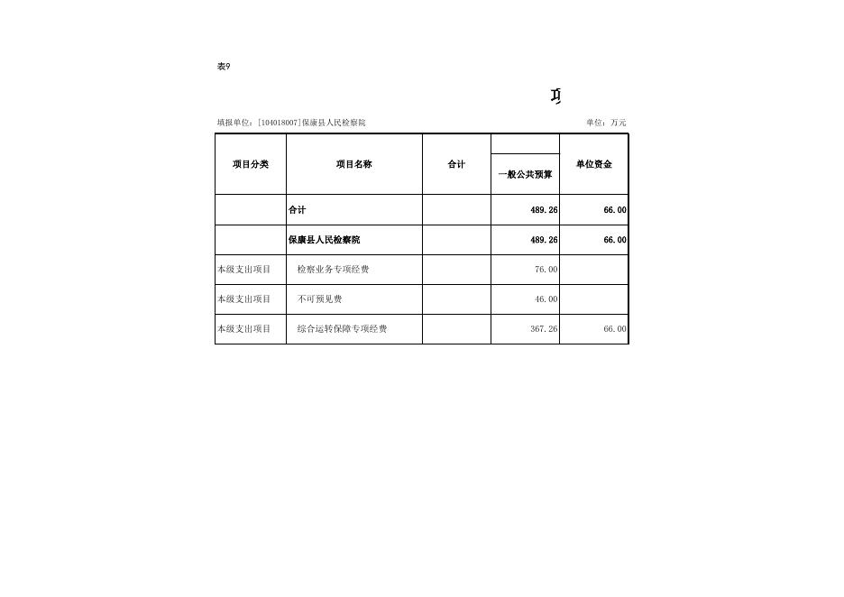 9项目支出表.xls