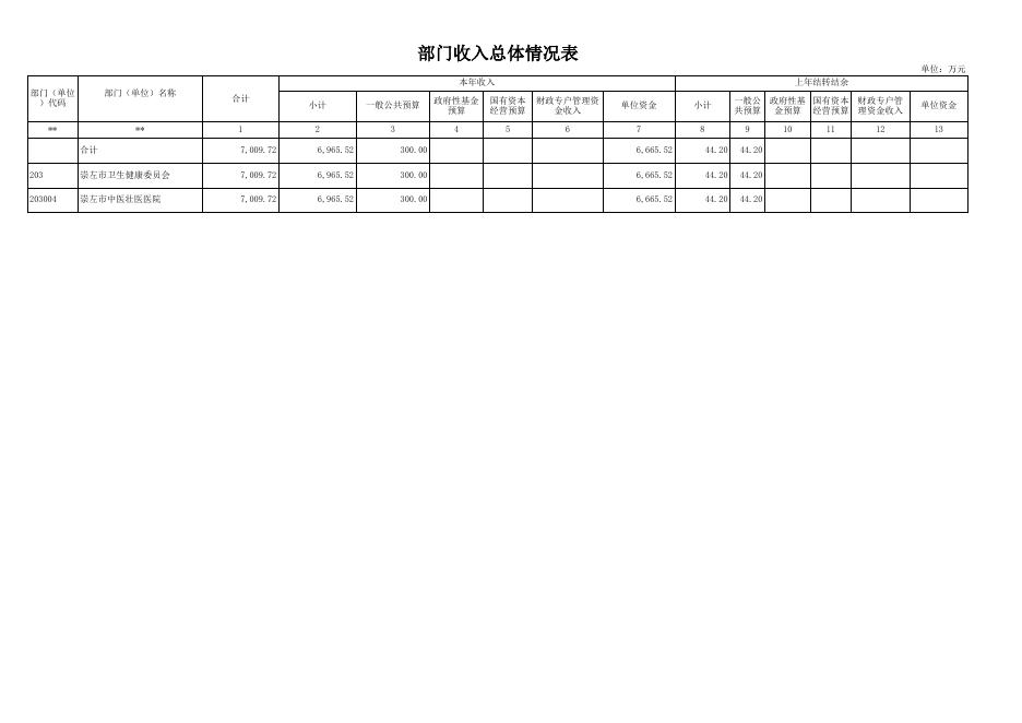 崇左市中医壮医医院2023年预算公开报表.xls