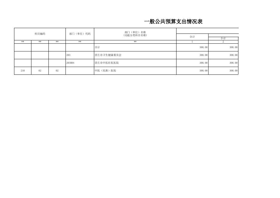崇左市中医壮医医院2023年预算公开报表.xls