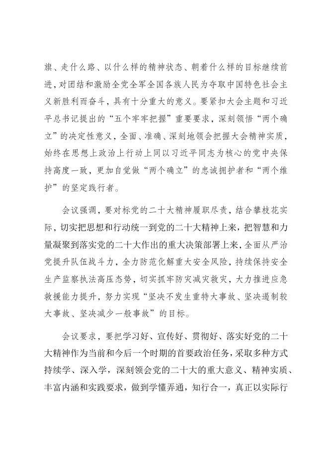 攀枝花市应急管理局召开党的二十大精神专题学习会.docx