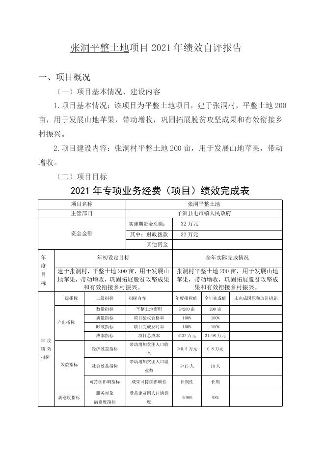张洞村平整土地项目项目支出绩效自评报告.pdf