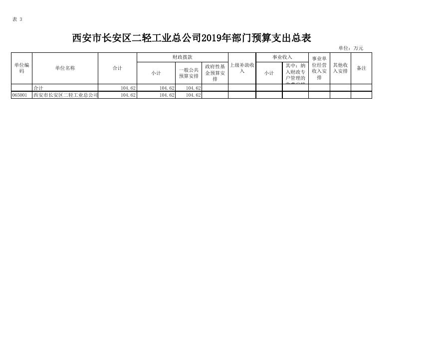 西安市长安区二轻工业总公司2019年部门预算报表.xls