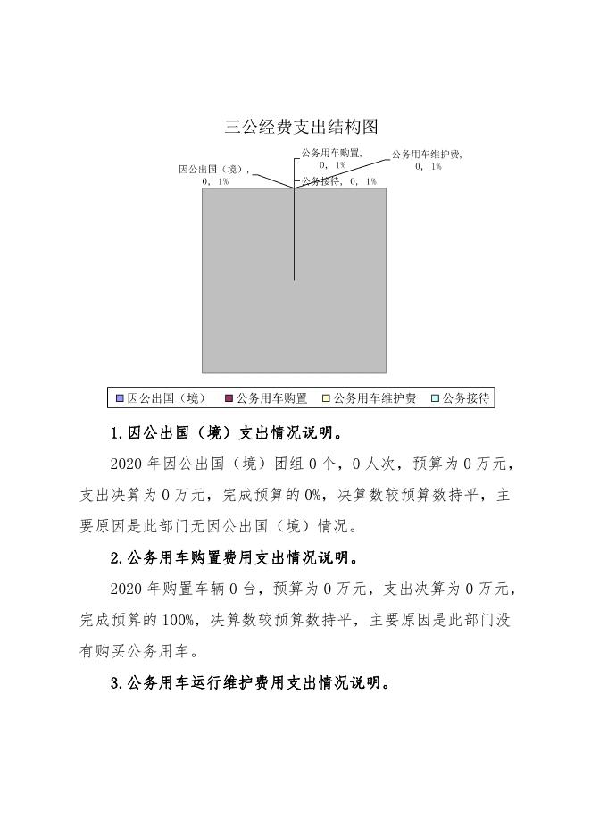 延安市安塞区统计局2020年“三公”经费支出情况说明.pdf