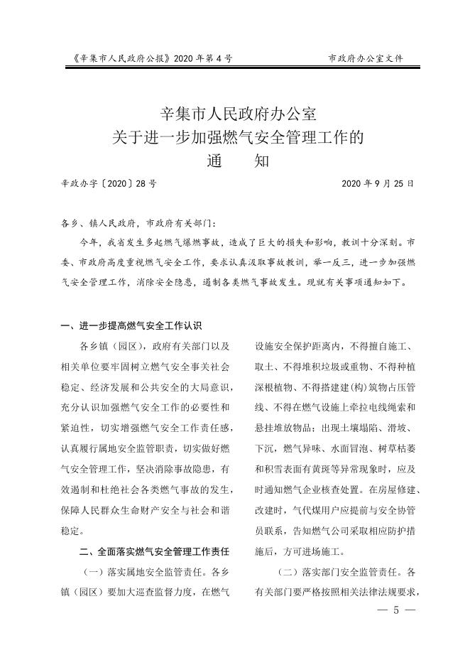 2020年第4号辛集市人民政府公报.docx