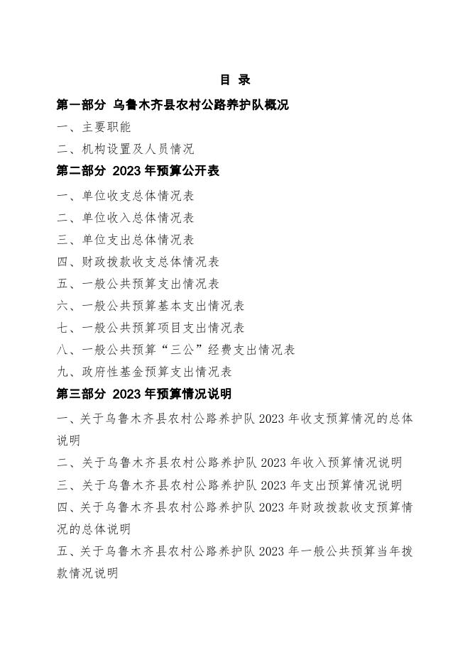 预算公开-2023年052002乌鲁木齐县农村公路养护队.pdf
