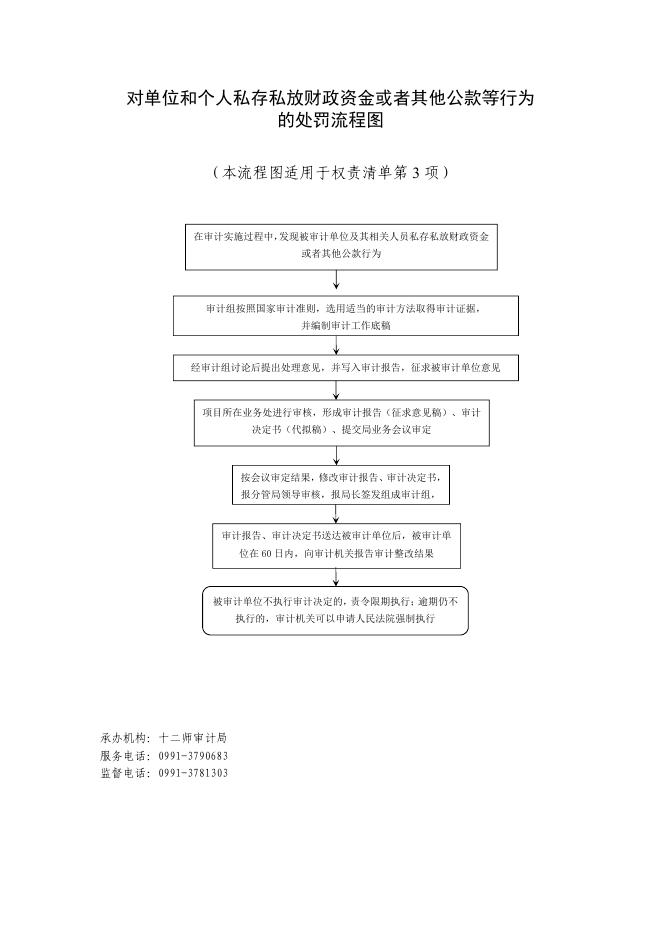 十二师审计局行政职权事项办理流程图.pdf