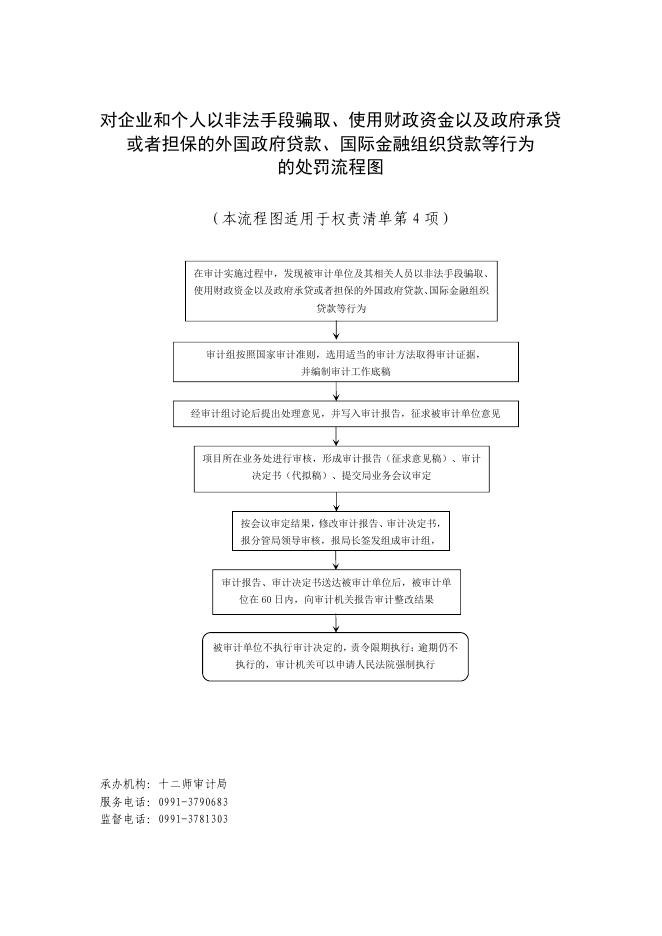 十二师审计局行政职权事项办理流程图.pdf