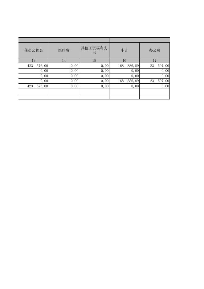 一般公共预算财政拨款基本支出决算表.xls