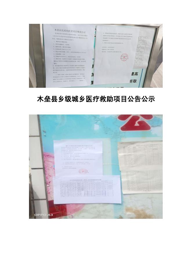 2019年木垒县民政局城乡医疗救助项目公告公示.pdf