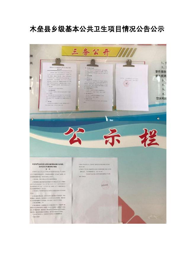 2019年木垒县卫生健康委员会基本公共卫生项目公告公示.pdf