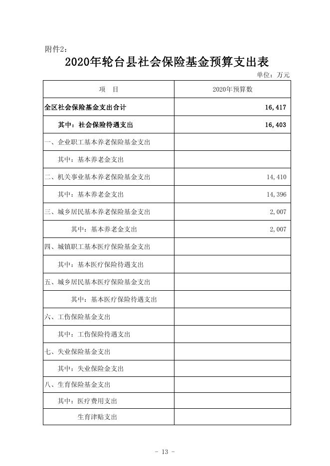 2020年轮台县本级社会保险基金预算公开表..pdf