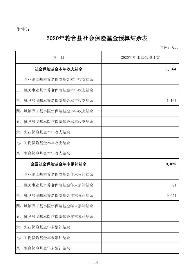 2020年轮台县本级社会保险基金预算公开表..pdf