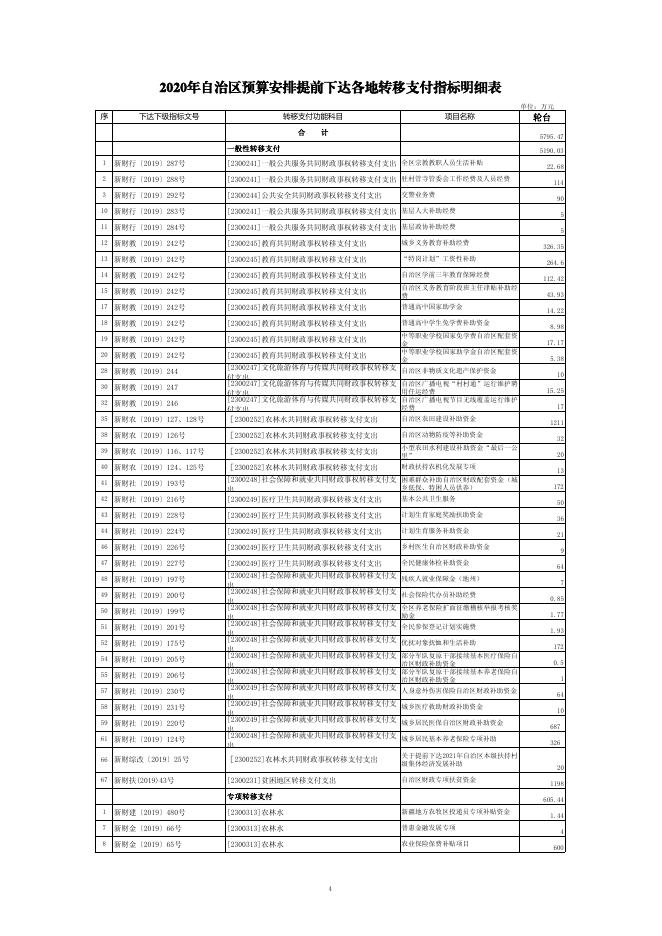 轮台县2020年转移支付资金分项目表.pdf