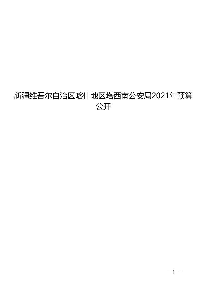 5.新疆维吾尔自治区喀什地区塔西南公安局2021年预算报告.pdf