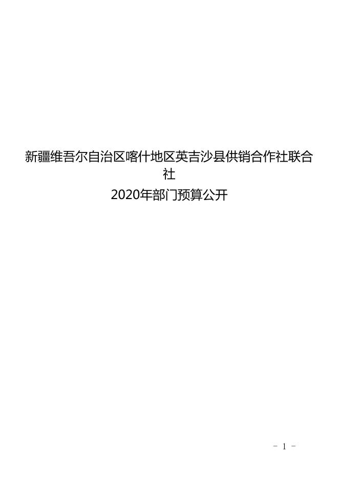 新疆维吾尔自治区喀什地区英吉沙县供销合作社联合社2020年预算报告.pdf