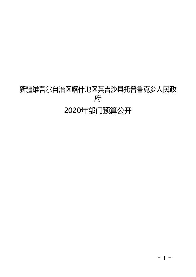 新疆维吾尔自治区喀什地区英吉沙县托普鲁克乡人民政府2020年预算报告.pdf