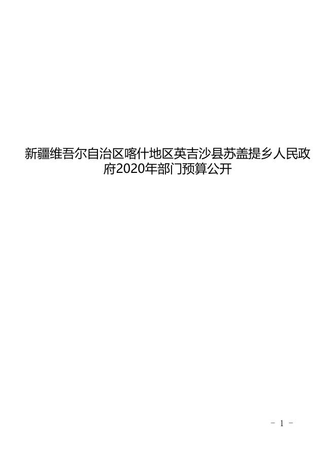 新疆维吾尔自治区喀什地区英吉沙县苏盖提乡人民政府2020年预算报告.pdf