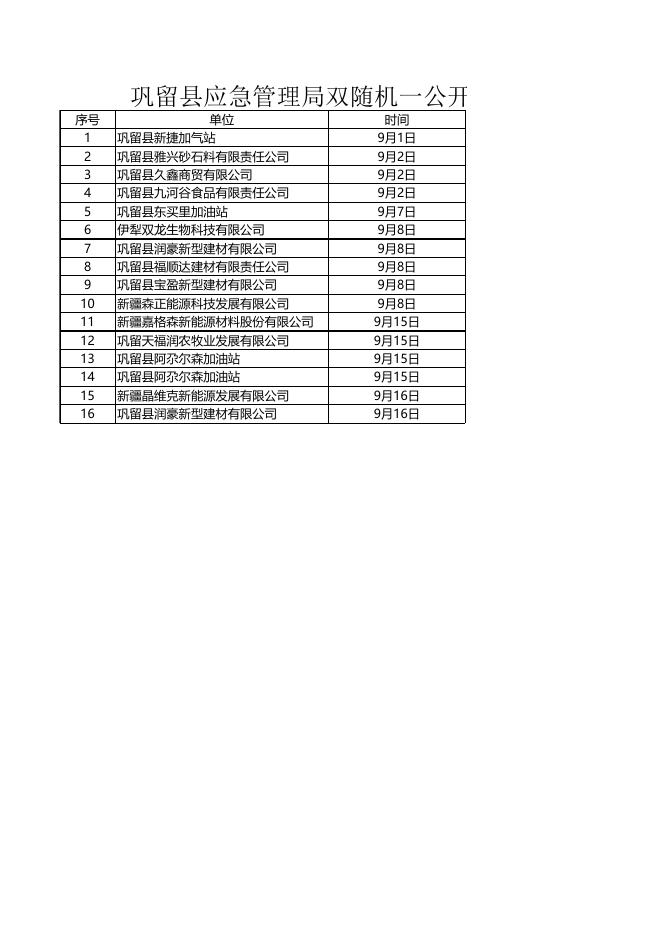 [巩留县应急管理局“双随机、一公开”公示情况 20K].xls