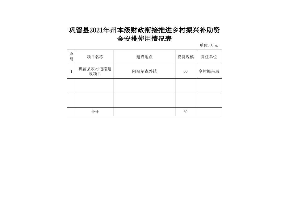 [巩留县2021年州本级财政衔接推进乡村振兴补助资金安排使用情况表60万元 201K].xlsx