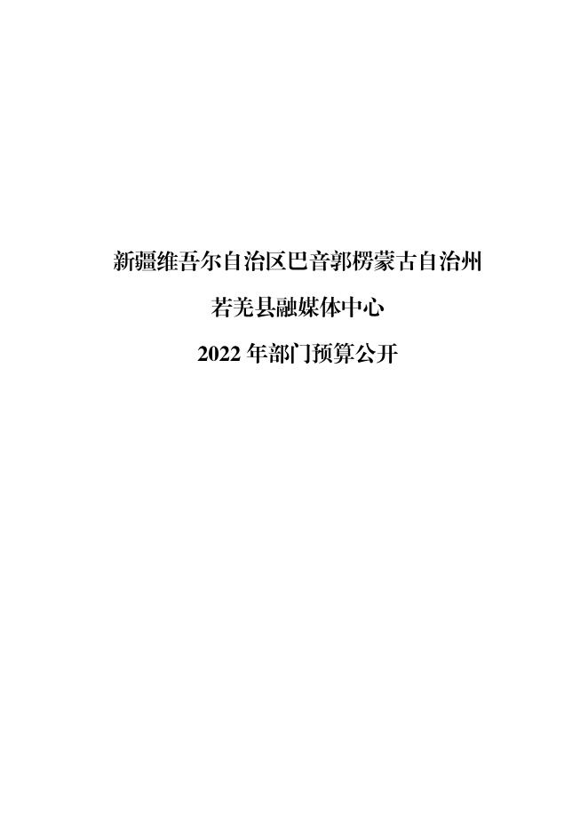 若羌县融媒体中心.pdf