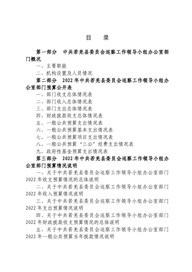 中共若羌县委员会巡察办.pdf